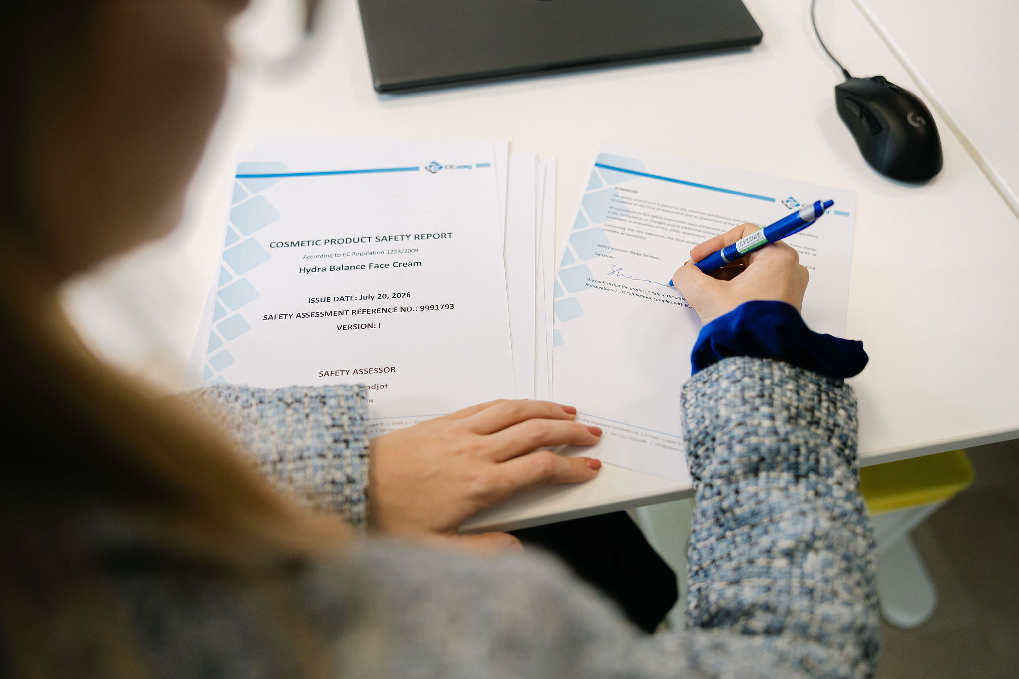 Inhalt des fertigen CPSR