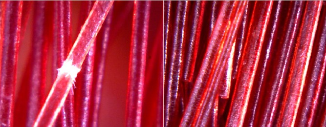 Immagini alla microcamera delle doppie punte, esempio 2